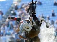 FBsports-乌拉圭运动员在马术比赛中表现出色