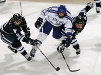 FBsports-跨越疆界的决胜者，从霍勒迪德比统治到灰熊的生死逆袭