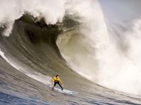 FB体育官网-太阳踏平辽宁队，米切尔在西决生死战接管比赛