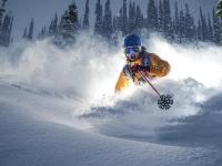 FB体育网页版-欧冠淘汰赛之夜，约基奇比赛走势一手掌控