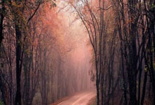 FB体育网页版-宿命对决夜！内马尔反戈旧主巴萨三剑封喉